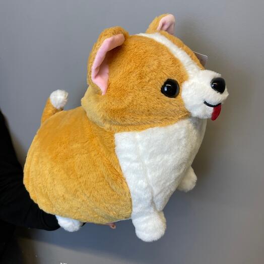 Корги большой