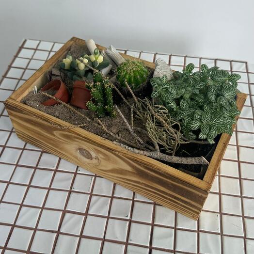 Мини-сад в ящике