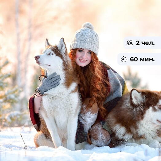 Под прицелом фотографа. Фотосессия с Хаски на природе