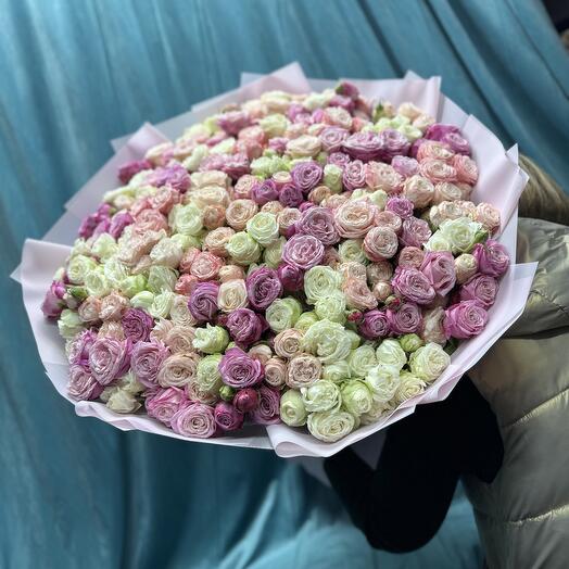 Кустовая Роза Пионовидная 💜🩷🤍