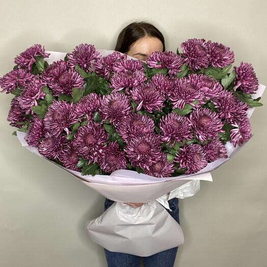 Одноголовые хризантемы