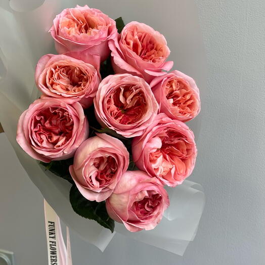 Pink Expression