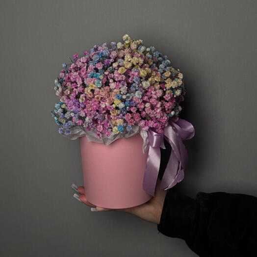 Гіпсофіла райдужна в коробці міні