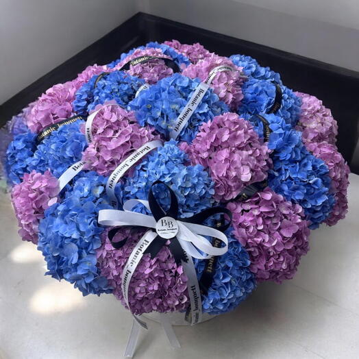 Гортензия из Голландии