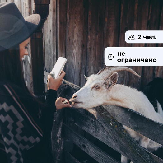 Сельская идиллия. Посещение фермы Экзархо
