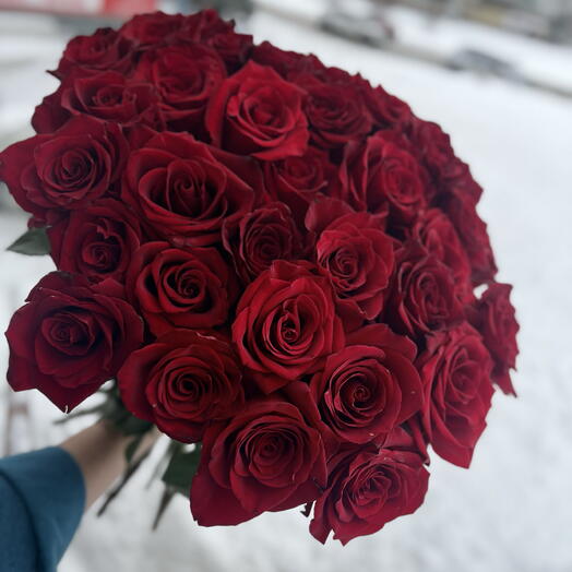 Эксплоэр