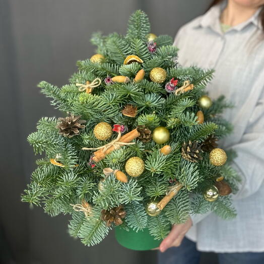 Ёлочка из Нобилиса