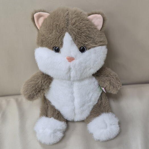 Кот двухцветный коричневый