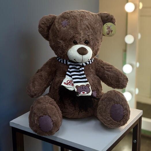 Плюшевый мишка 🧸 Avarage Brown Bear 🐻