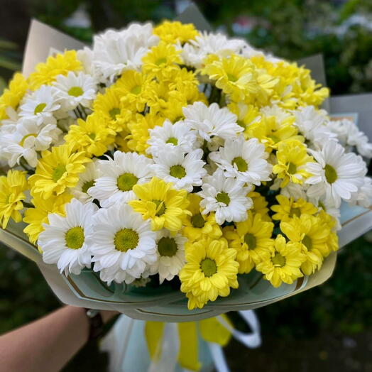 Букет 💐 хризантем Дея
