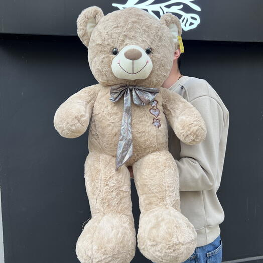 Teddy bear1