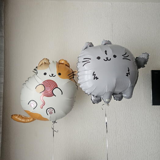 Шары котики,котята,кошки с гелием -2шара
