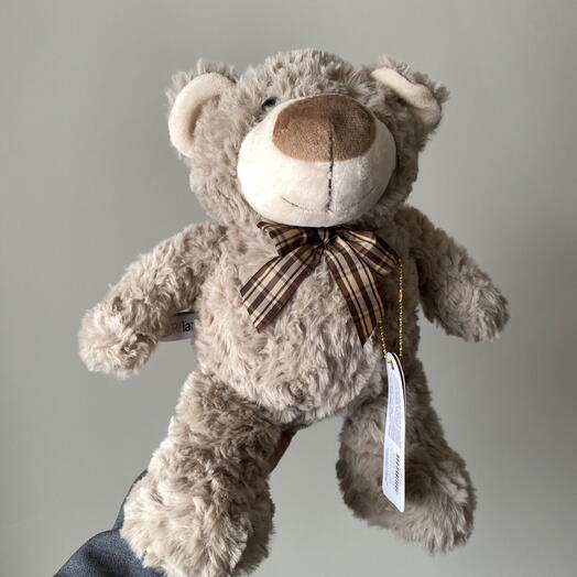 Мягкая игрушка мишка