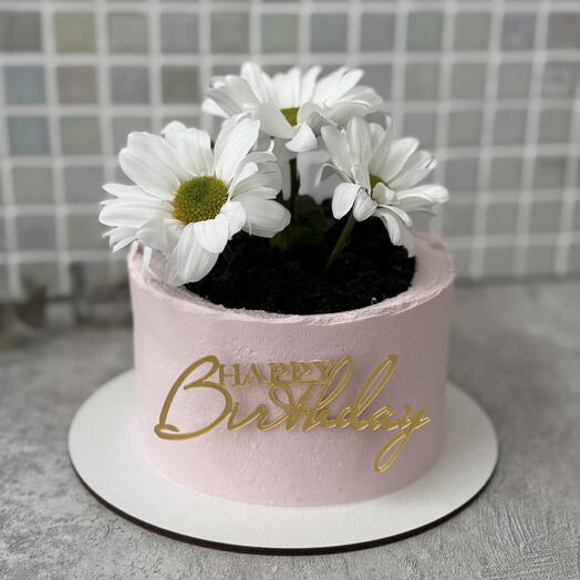 Бенто торт М веган постный на день рождения happy birthday с настоящим цветком в виде плошки горшка маме жене девушке бабушке