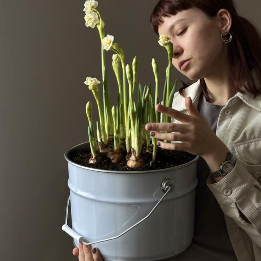 Ведро пионовидных нарциссов - весна уже здесь 💛