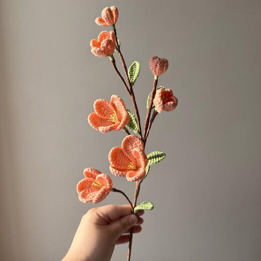 Цветущие ветви персика🧡