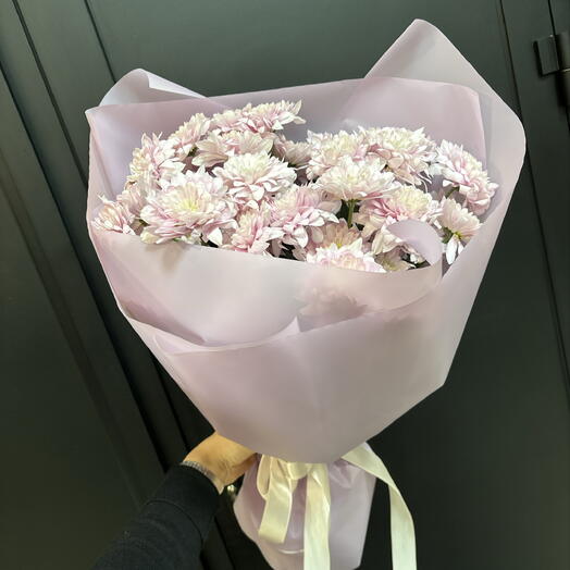 Моно лавандовых хризантем