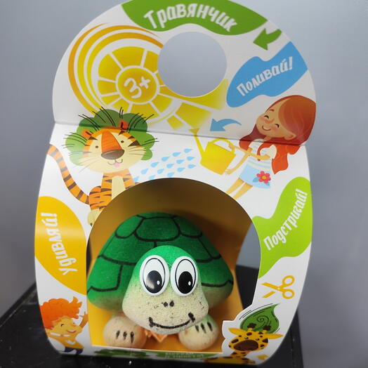 Травянчик черепашка