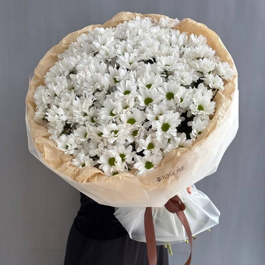 25 кустовых хризантем