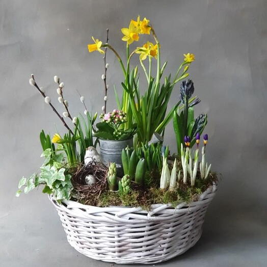 Пасхальная композиция с живыми цветами (Нарциссы, гиацинты, мускари)