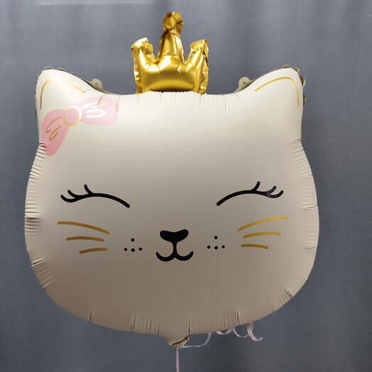 Шар Кошечка принцесса