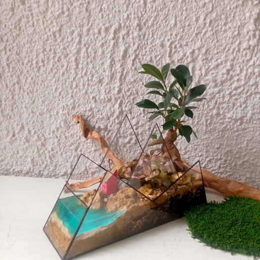 Florarium "house in the mountains"