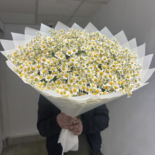 Ромашка сезонный букет ароматный