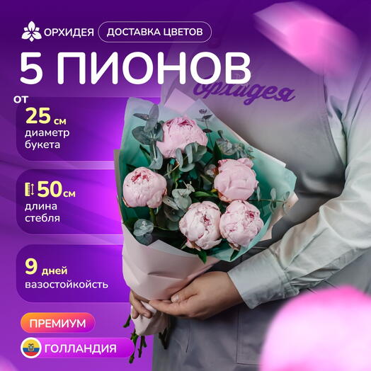 5 пионов "Сара"