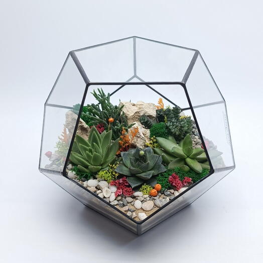 Florarium with succulents "Lesnaya polyana" Dodecahedron 22 cm