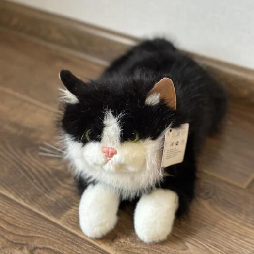 Мягкая игрушка Котик 40 см