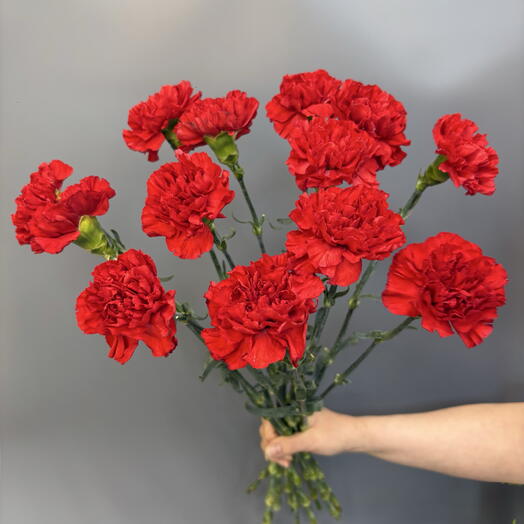 13 гвоздик красных