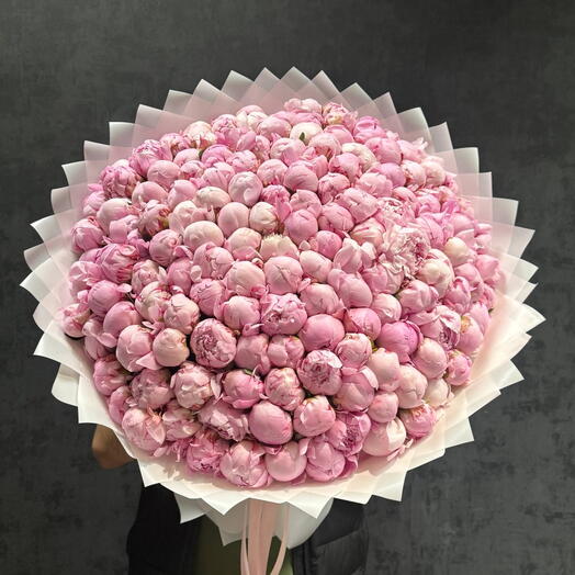 151 Пион | Бескрайнее море нежности в одном букете 🌸