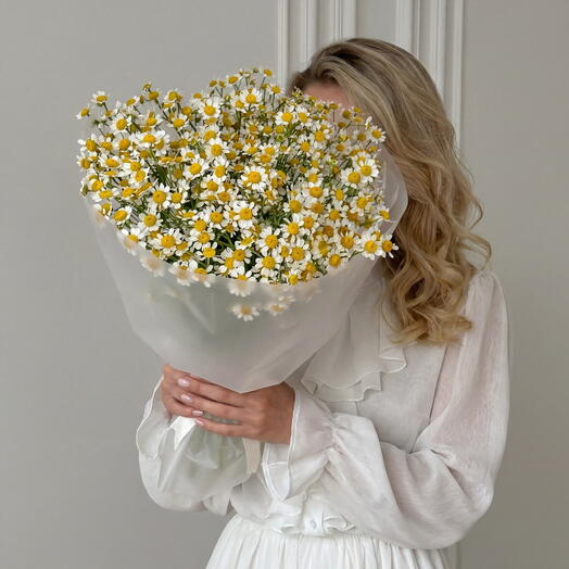 Монобукет из 15 веток кустовой ромашки от XOFLOWERS