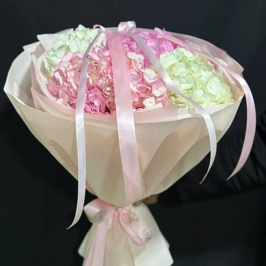 Maison Hydrangea 4 💠