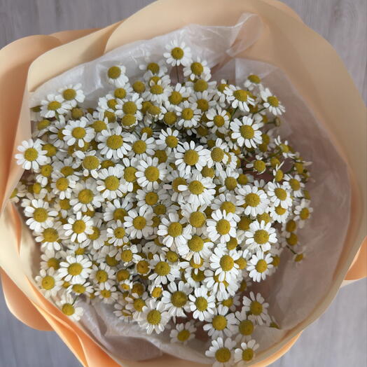Ромашки