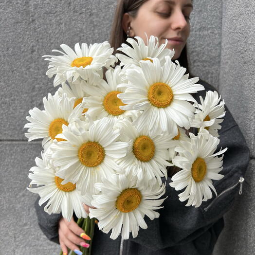 Одноголовая ромашка банч 13 шт