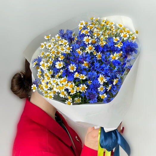 Лето в Москве🌼 Васильки и ромашки