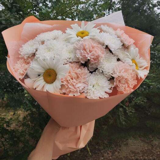 Нежные ромашки