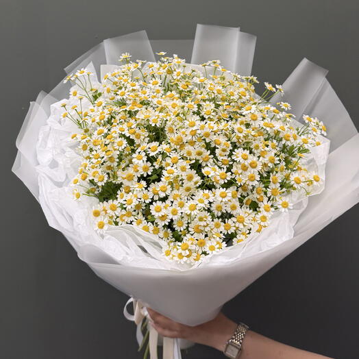 Букет гигант по супер цене🌼 25 полевых ромашек