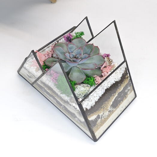 Florarium with succulents "Mini Mountains with Mystery" Mountains 14x10c