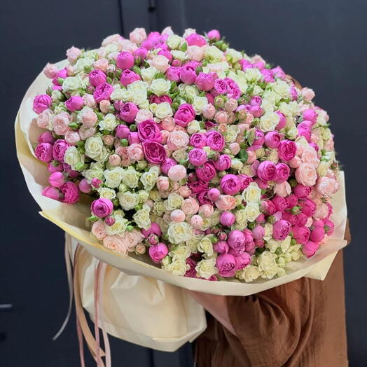 Cotton Candy Bloom
