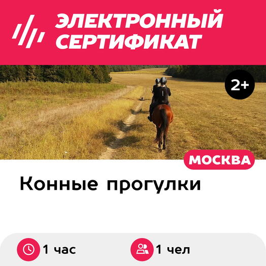 Подарочный сертификат Индивидуальная конная прогулка шагом, 1 чел. (1 час) (Московская область)