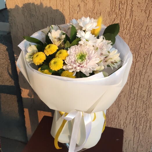 Прованс