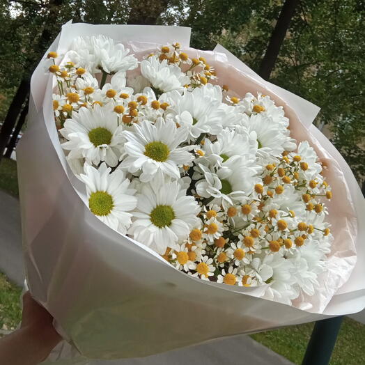 Хризантемы🌼