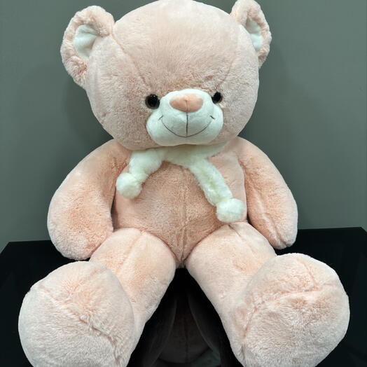 Bear 🐻 80