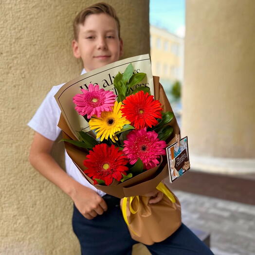 Солнечные блики