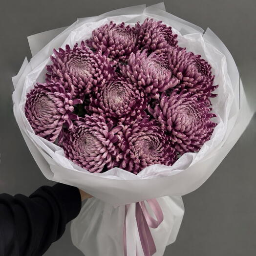 Монобукет бигуди хризантем «Velvet Plum»