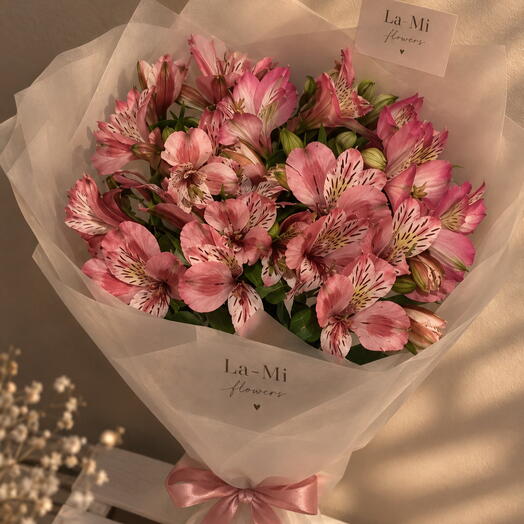 Pink Alstroemeria🌸