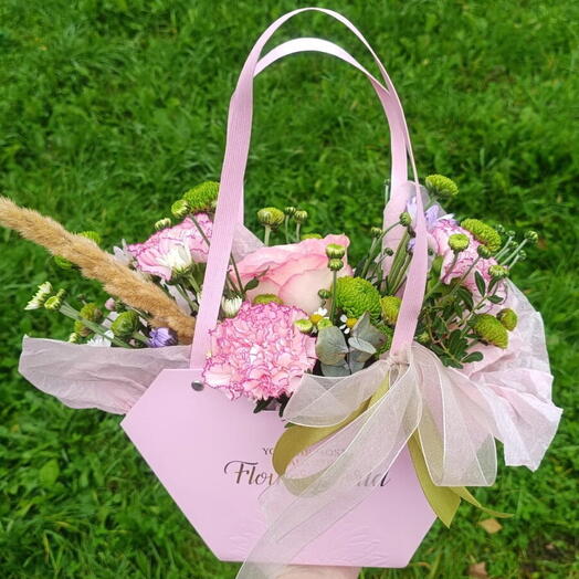 Dianthus 