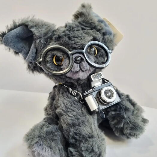 Мягкая игрушка кот, сюрприз для ребёнка, котик с очками и фотоаппаратом